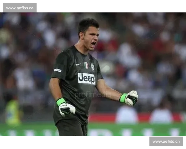 德甲豪门争锋与新星崛起全景观察与未来格局深度解析赛季风云变幻