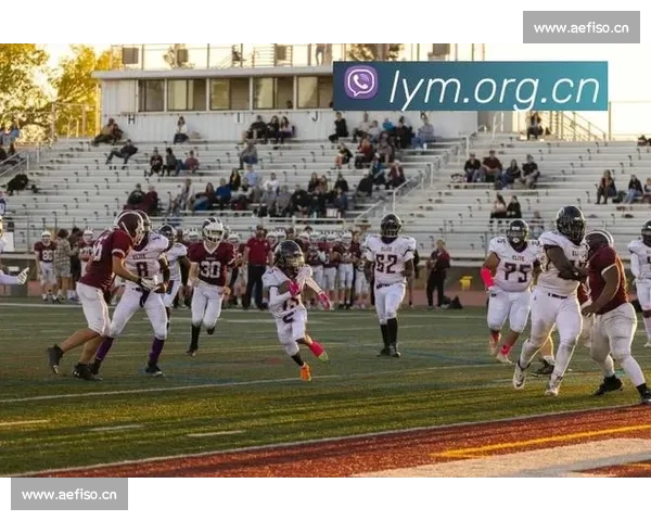 世界杯直播全程精彩呈现全球球迷热情共赏巅峰对决盛宴 世界杯直播全程精彩呈现全球球迷热情共赏巅峰对决盛宴